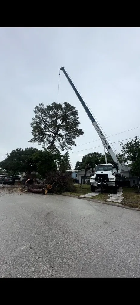 Professional lawn care service for year-round maintenance across St. Petersburg, FL - Howard’s Tree Service