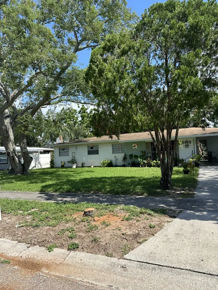 Affordable landscape installation experts serving St. Petersburg, FL - Howard’s Tree Service