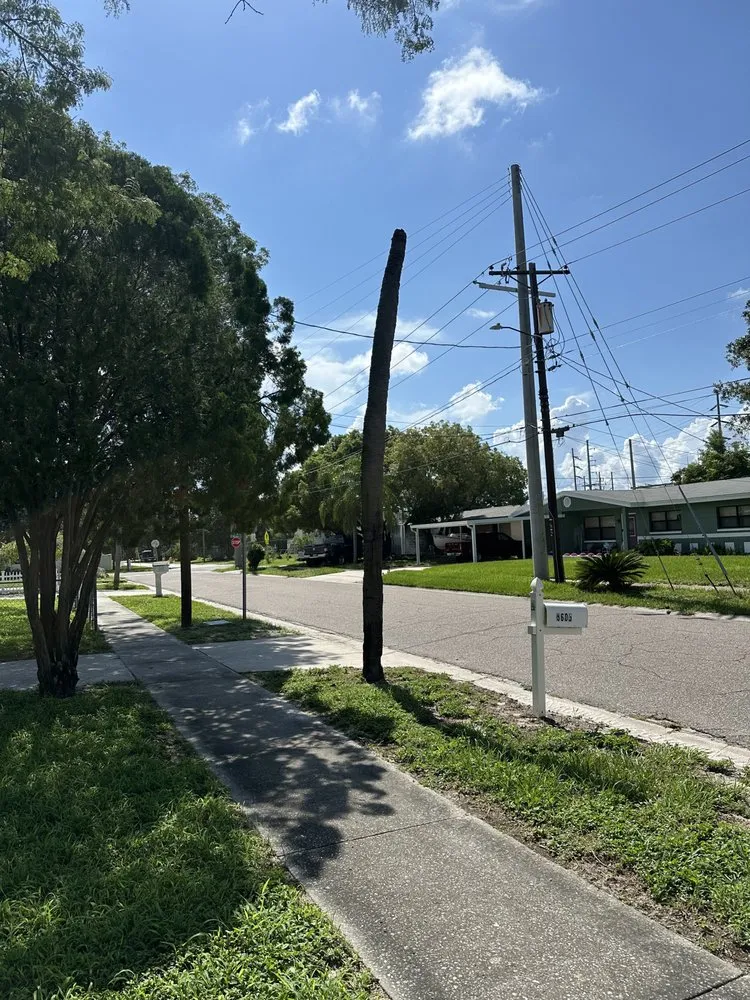 Expert landscape design experts serving St. Petersburg, FL - Howard’s Tree Service