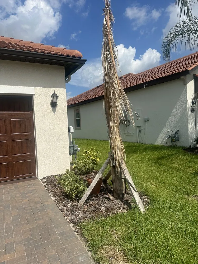 Local yard maintenance experts serving St. Petersburg, FL - Howard’s Tree Service