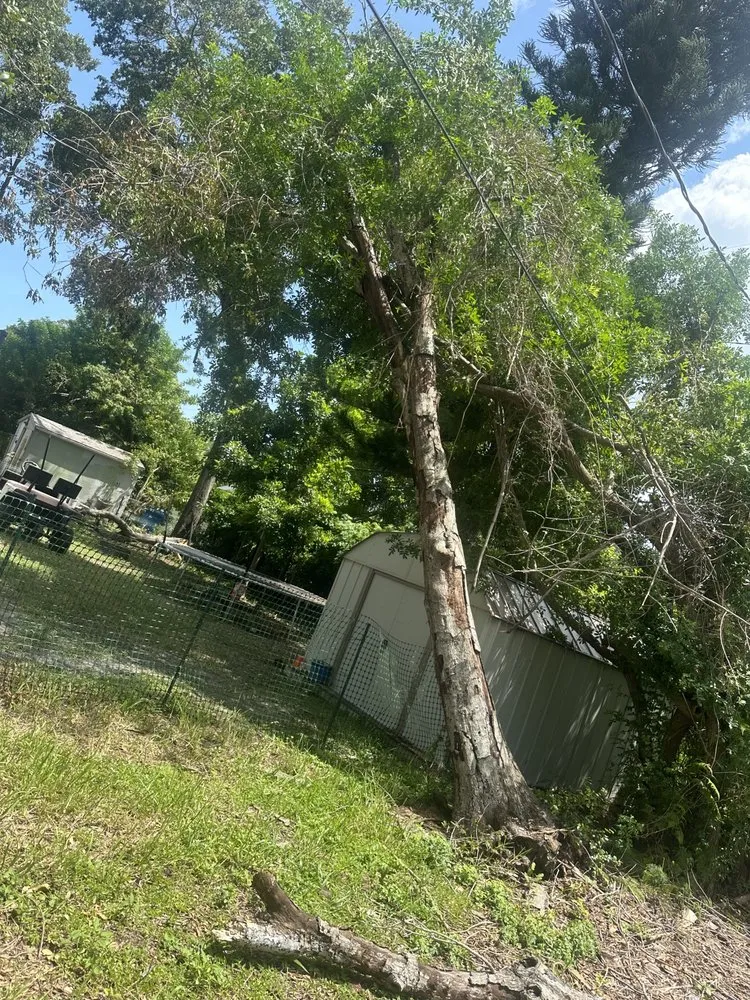 Local landscape installation for outdoor upgrades across St. Petersburg, FL - Howard’s Tree Service