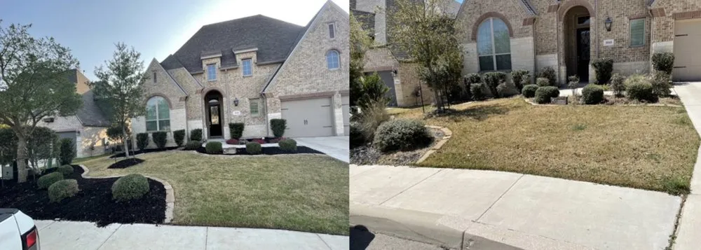 Reliable landscape installation near you in San Antonio, TX by Howdy Lawn Care