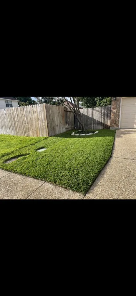Custom landscape installation in San Antonio, TX by Howdy Lawn Care