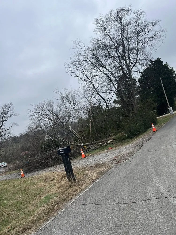 Local landscaping services in Charlotte, TN - Howell And Sons Lawn Care