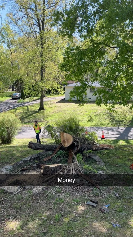 Local landscape installation in Charlotte, TN by Howell And Sons Lawn Care