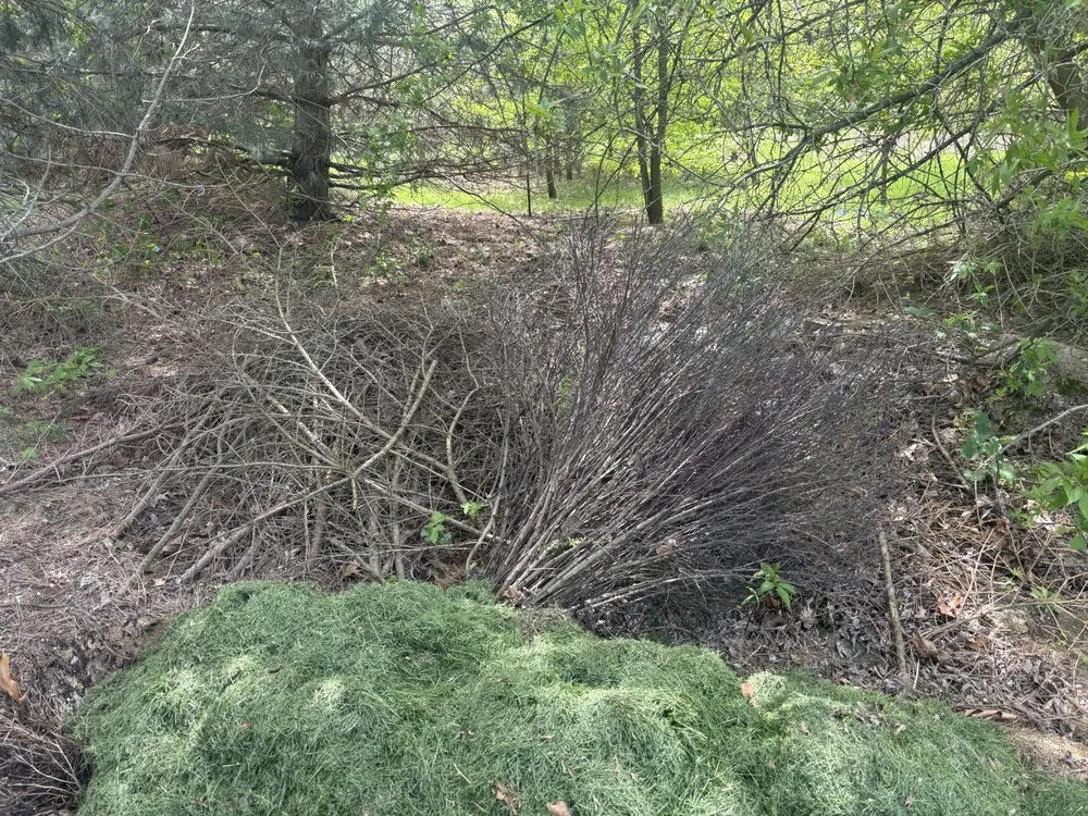 Affordable outdoor landscaping experts serving Howell, MI - Howell Junk Removal