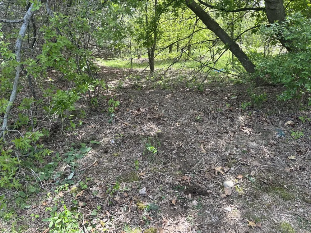 Top-rated lawn care service experts serving Howell, MI - Howell Junk Removal