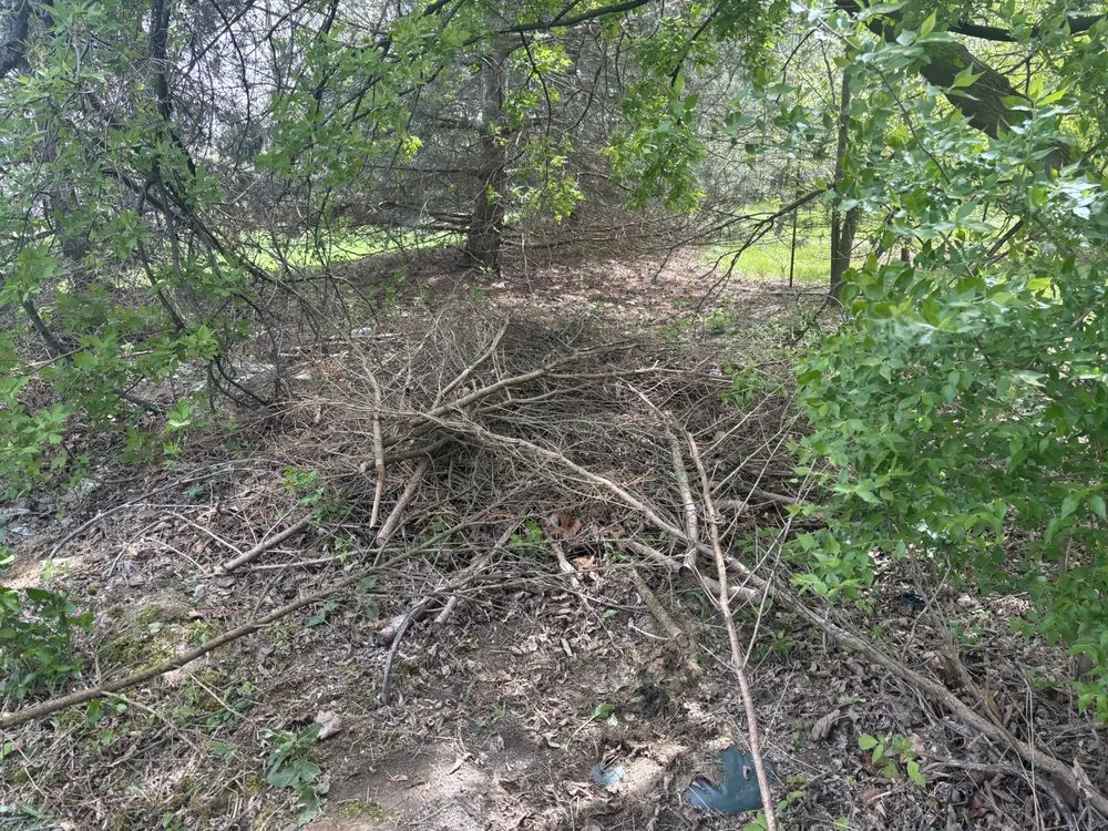 Expert outdoor landscaping in Howell, MI by Howell Junk Removal