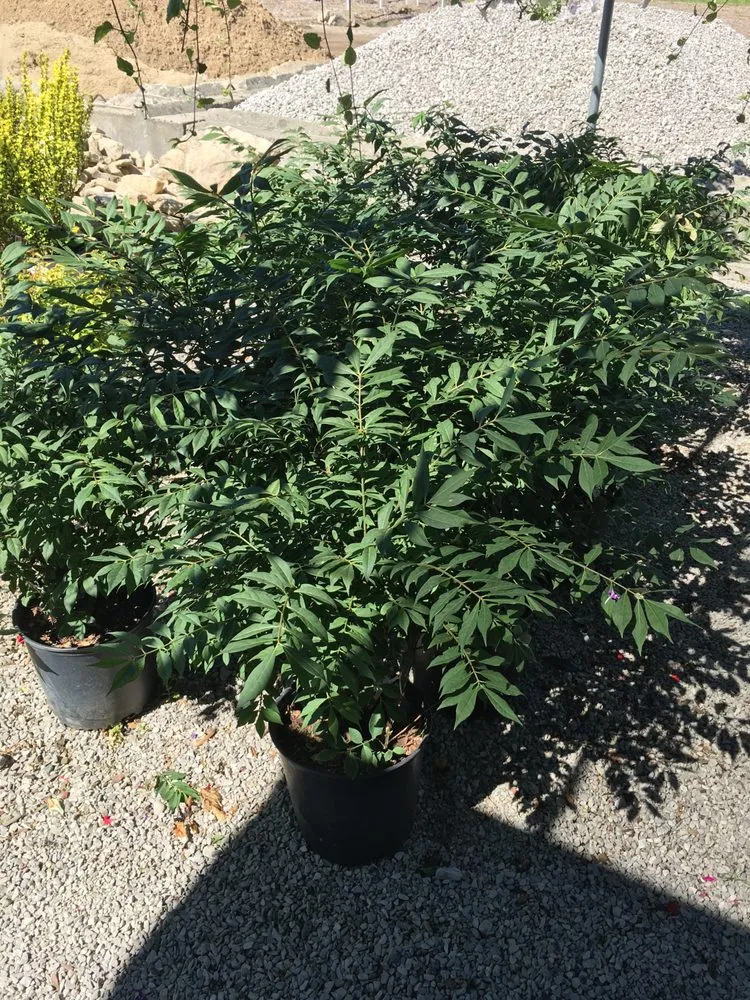 Local residential landscaping in Howell, MI - Howell Landscape Supplies