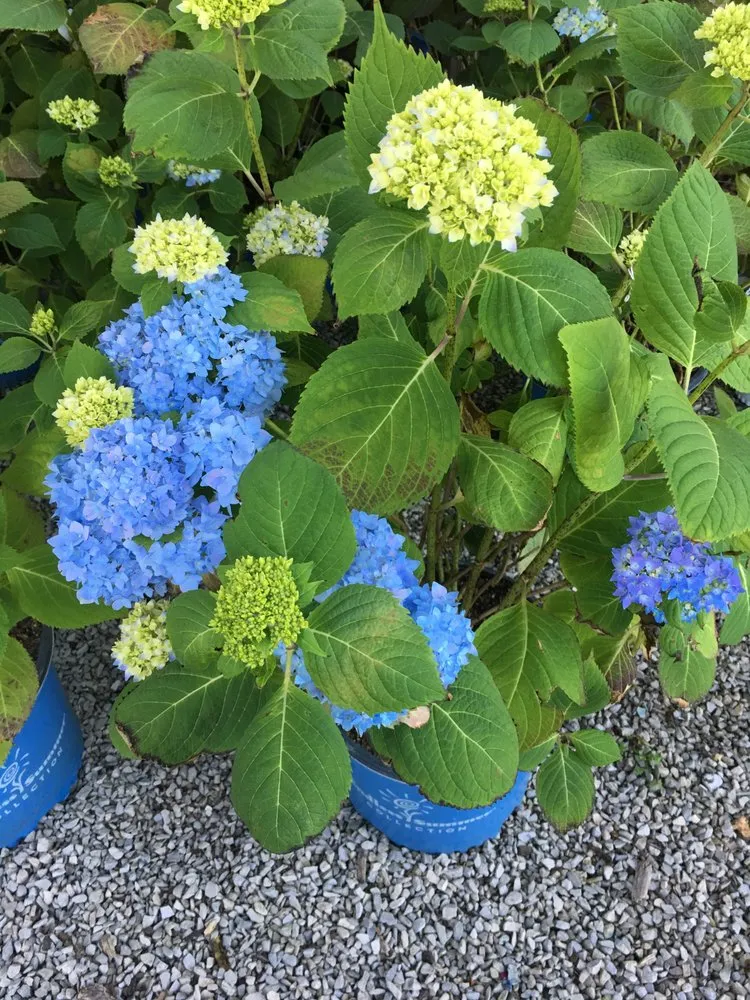 Reliable outdoor landscaping for residential properties in Howell, MI by Howell Landscape Supplies