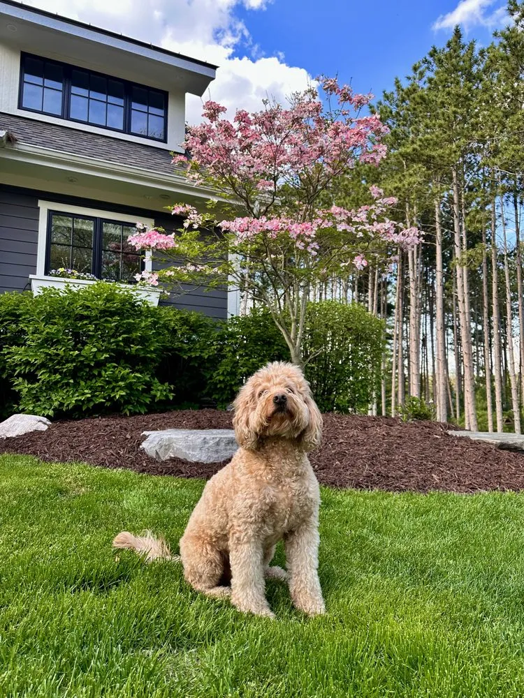 Affordable yard cleanup service experts serving Grand Rapids, MI - Howell Landscaping