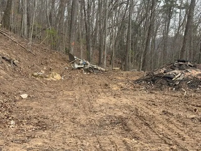 Local yard cleanup service in Waynesville, NC by Howell Tree Removal