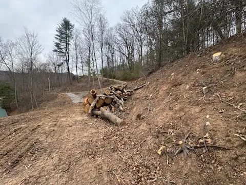 Trusted lawn mowing service for beautiful yards across Waynesville, NC - Howell Tree Removal