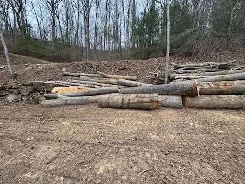 Professional yard maintenance for outdoor upgrades across Waynesville, NC - Howell Tree Removal