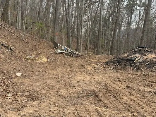 Howell Tree Removal Logo