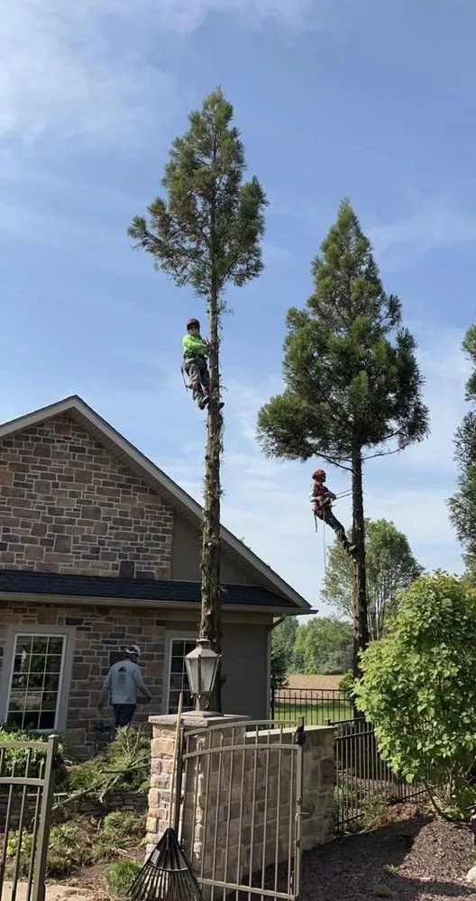 Local landscape installation in Tamaqua, PA - Howells & Son Improvements