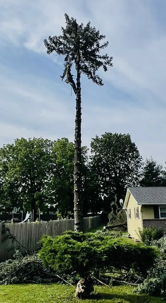 Local landscape design with custom design in Tamaqua, PA by Howells & Son Improvements