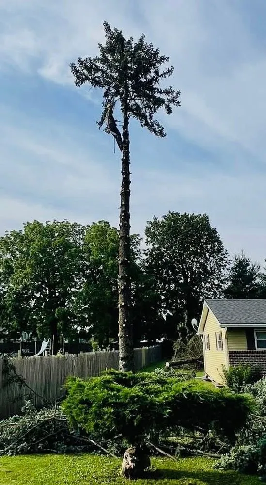 Professional landscape installation for year-round maintenance across Tamaqua, PA - Howells & Son Improvements