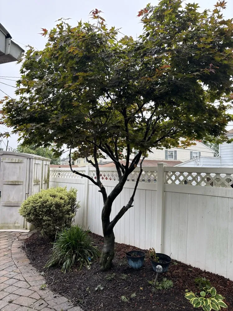 Custom yard cleanup service experts serving Tamaqua, PA - Howells & Son Improvements