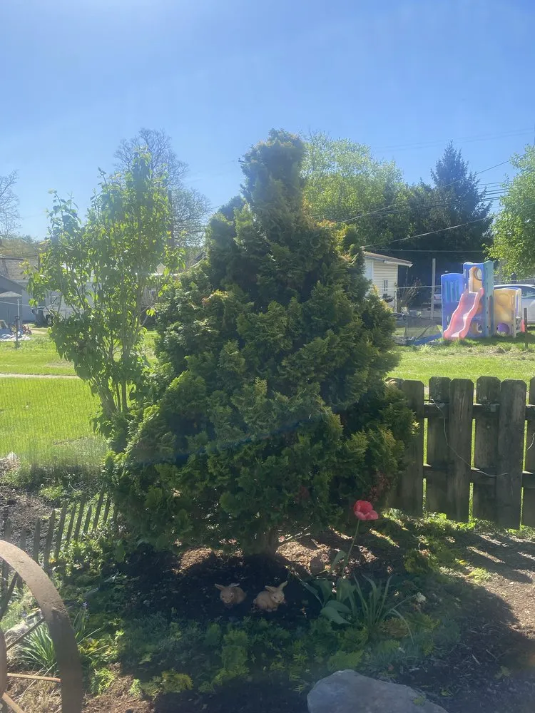 Local landscaping services in Tamaqua, PA - Howells & Son Improvements