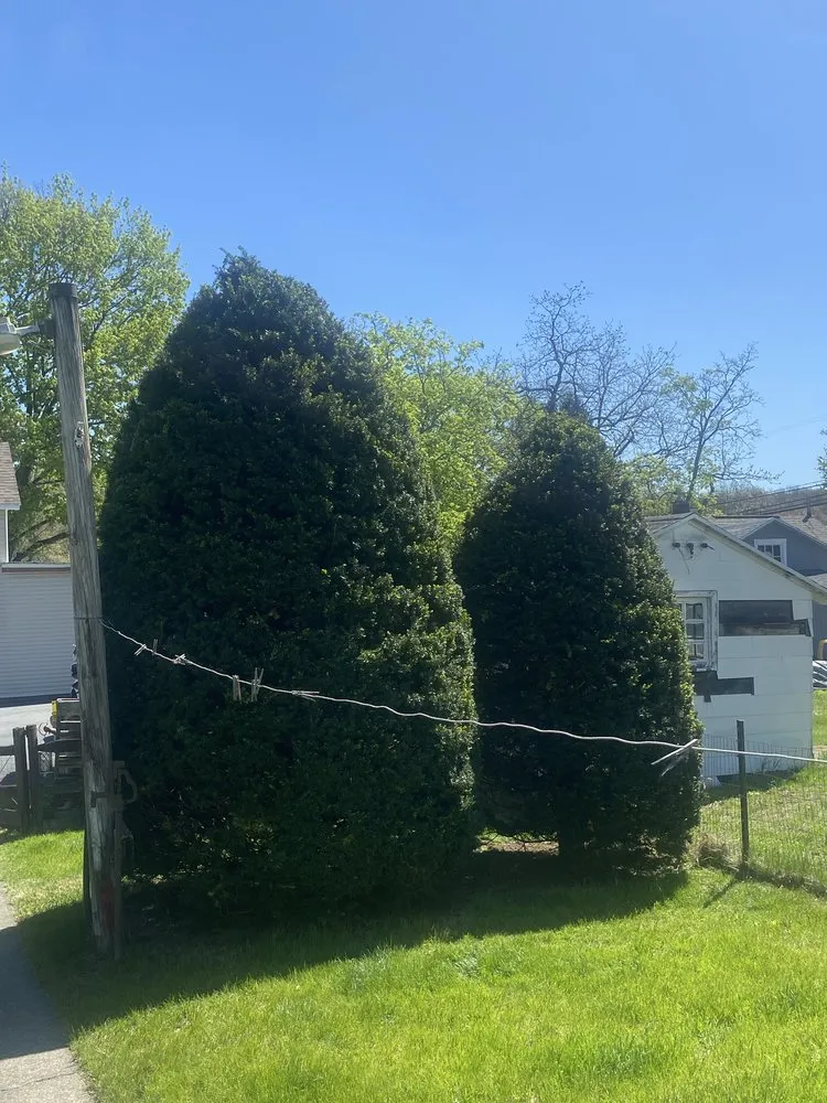 Professional landscape installation for beautiful yards across Tamaqua, PA - Howells & Son Improvements