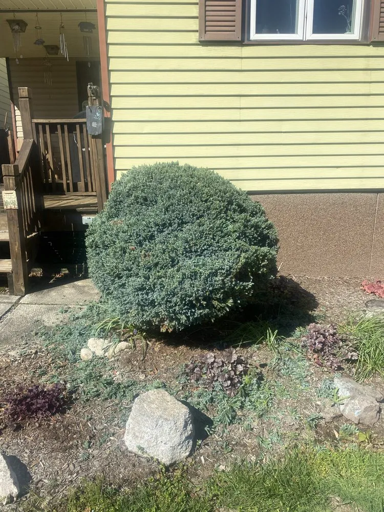 Expert yard cleanup service in Tamaqua, PA - Howells & Son Improvements