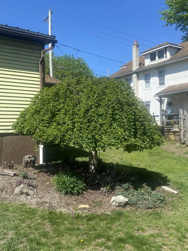 Professional outdoor landscaping experts serving Tamaqua, PA - Howells & Son Improvements