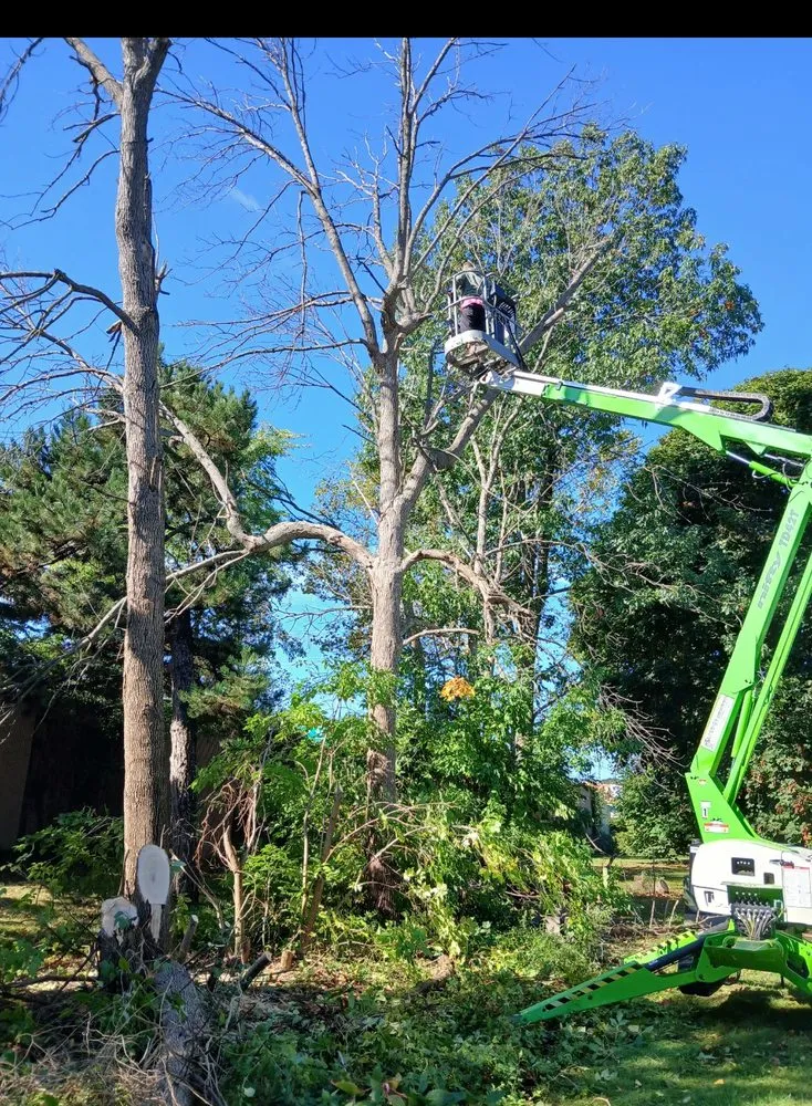 Trusted landscaping services for residential properties in Greece, NY by Howell's Custom Landscaping