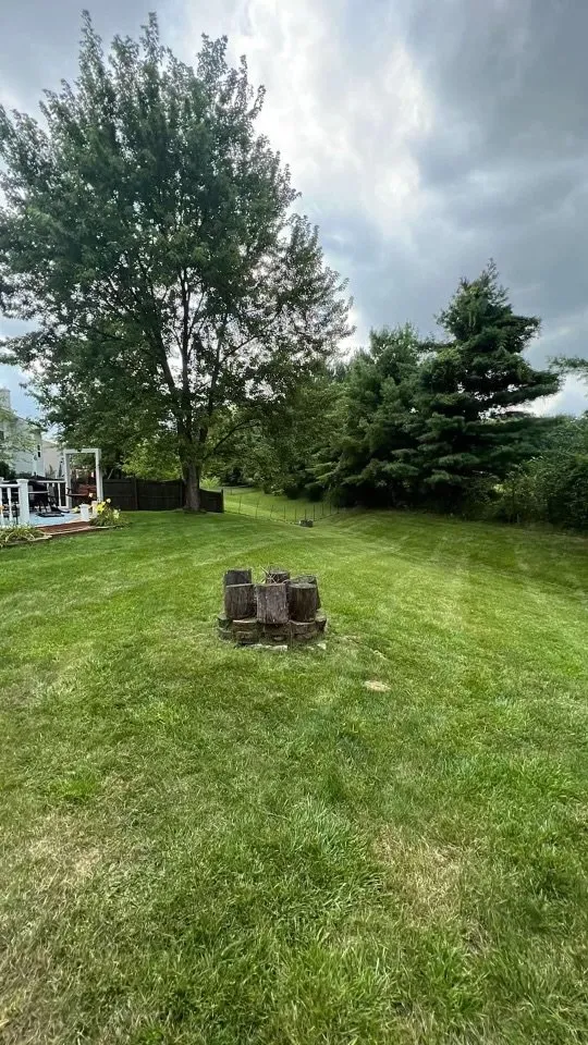 Affordable yard maintenance in Greenfield, IN - Howells Cuts And Clean Ups