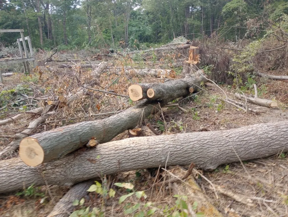 Expert outdoor landscaping in Endicott, NY by Howell's Helpin' Hands