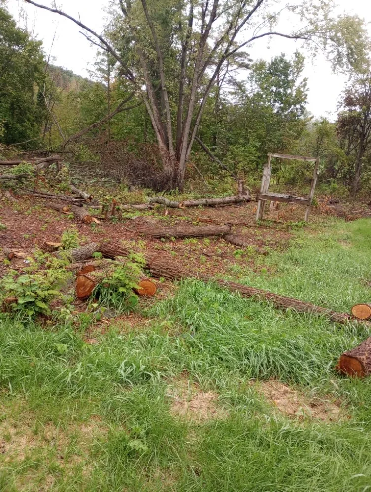 Local lawn mowing service near you across Endicott, NY - Howell's Helpin' Hands