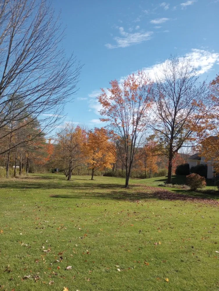 Top-rated residential landscaping for year-round maintenance in Endicott, NY by Howell's Helpin' Hands