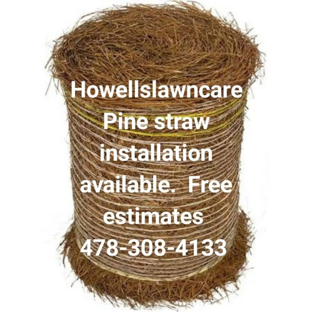 Expert yard cleanup service for year-round maintenance in Eastman, GA by Howell's Lawn Care Services