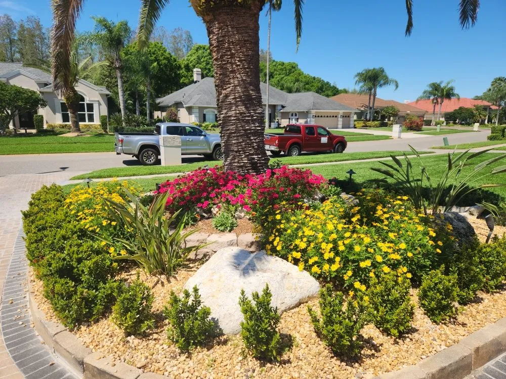 Expert landscaping services experts serving Odessa, FL - Howell's Nursery & Landscape