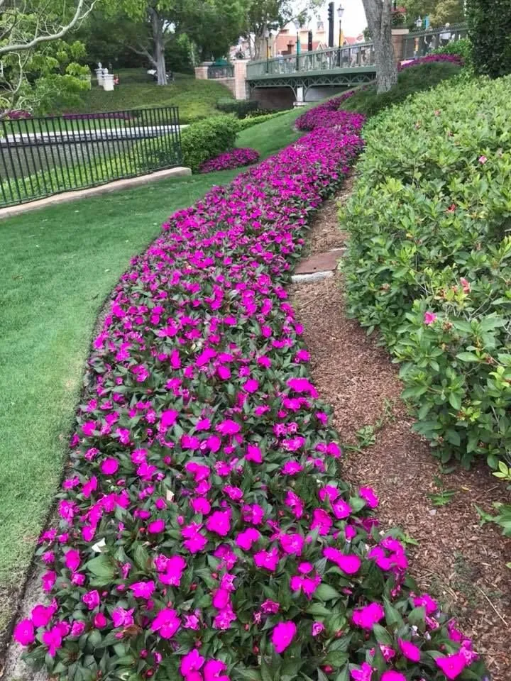 Trusted garden landscaping in Odessa, FL by Howell's Nursery & Landscape