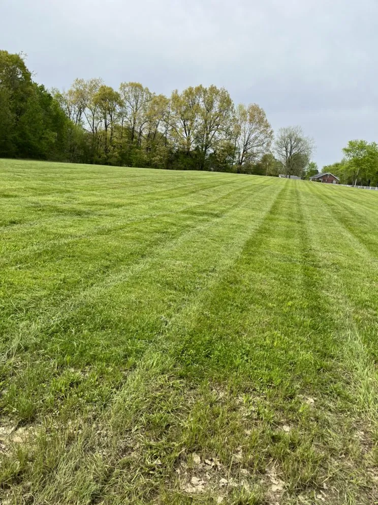 Affordable residential landscaping in MURRAY, KY - Howes Affordable Lawn Care