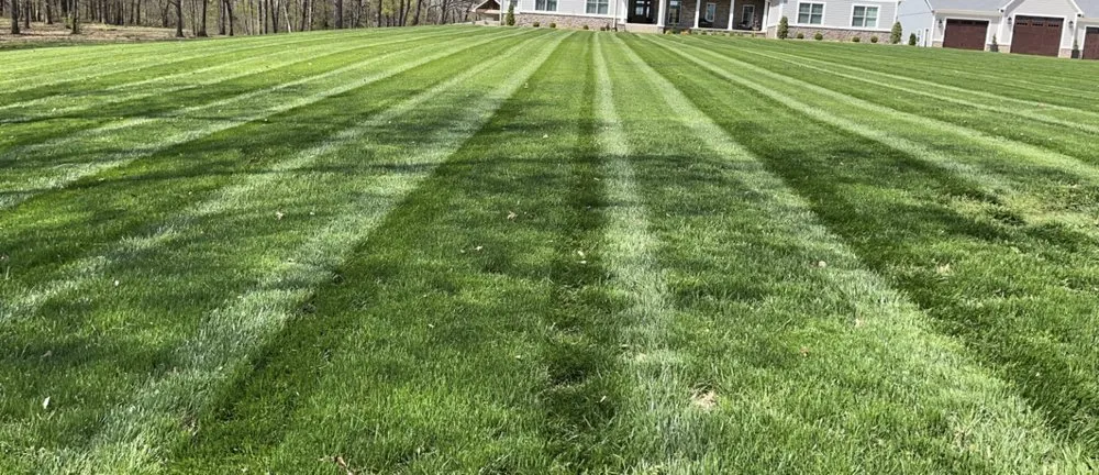 Top-rated yard cleanup service for outdoor upgrades across MURRAY, KY - Howes Affordable Lawn Care