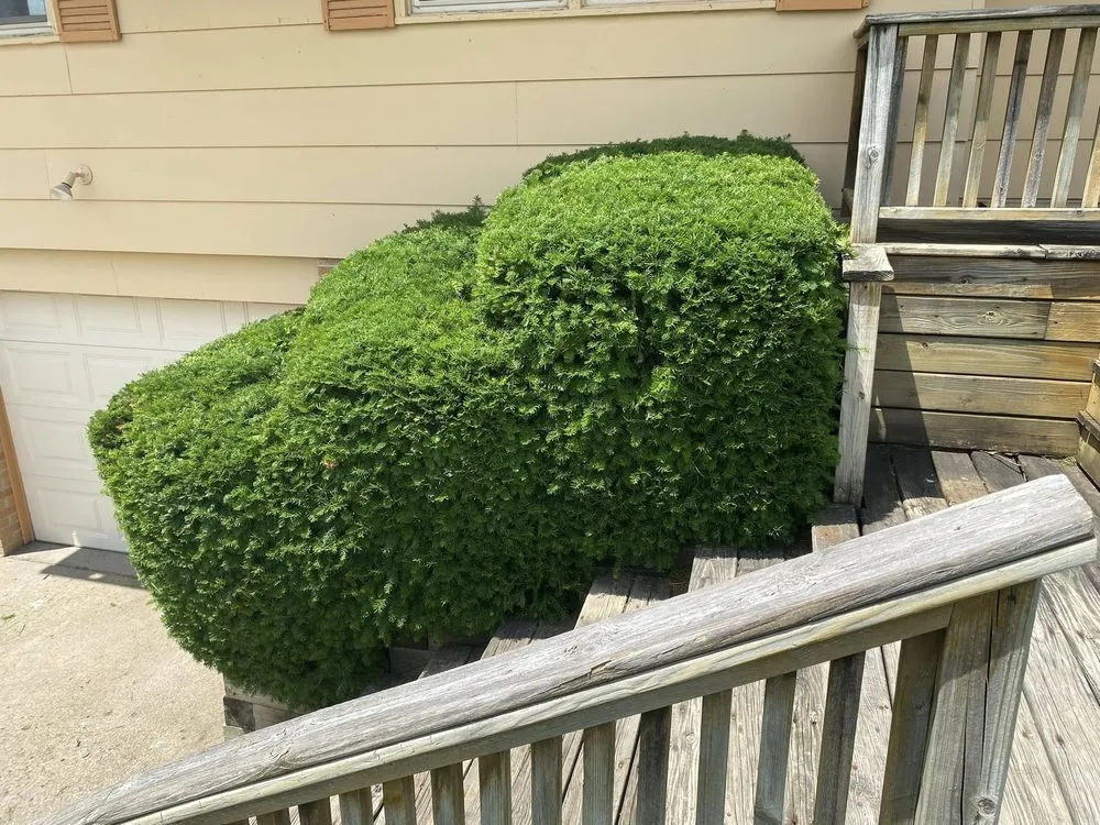 Local lawn care service in Des Moines, IA - Howe’s Lawncare & Snow Removal