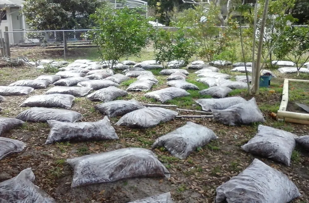 Reliable outdoor landscaping in Howey-in-the-Hills, FL by Howey Lawn & Landscape