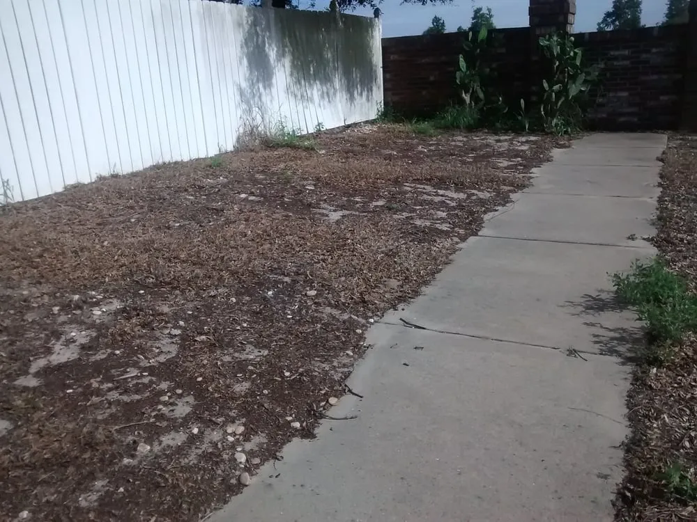 Affordable residential landscaping in Howey-in-the-Hills, FL - Howey Lawn & Landscape