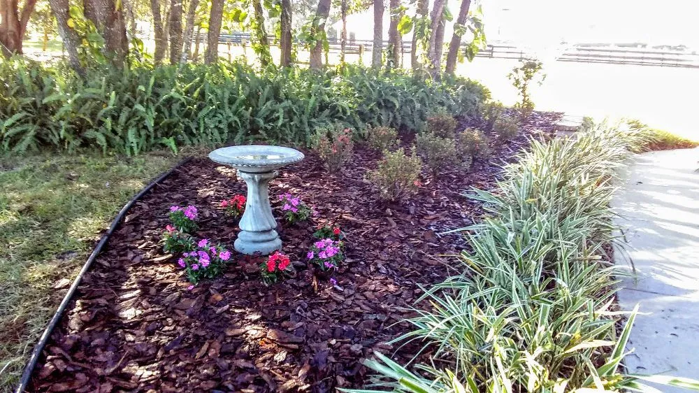 Expert yard cleanup service experts serving Howey-in-the-Hills, FL - Howey Lawn & Landscape