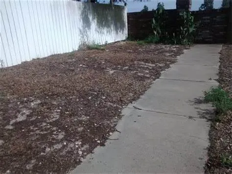 Local yard maintenance in Howey-in-the-Hills, FL - Howey Lawn & Landscape