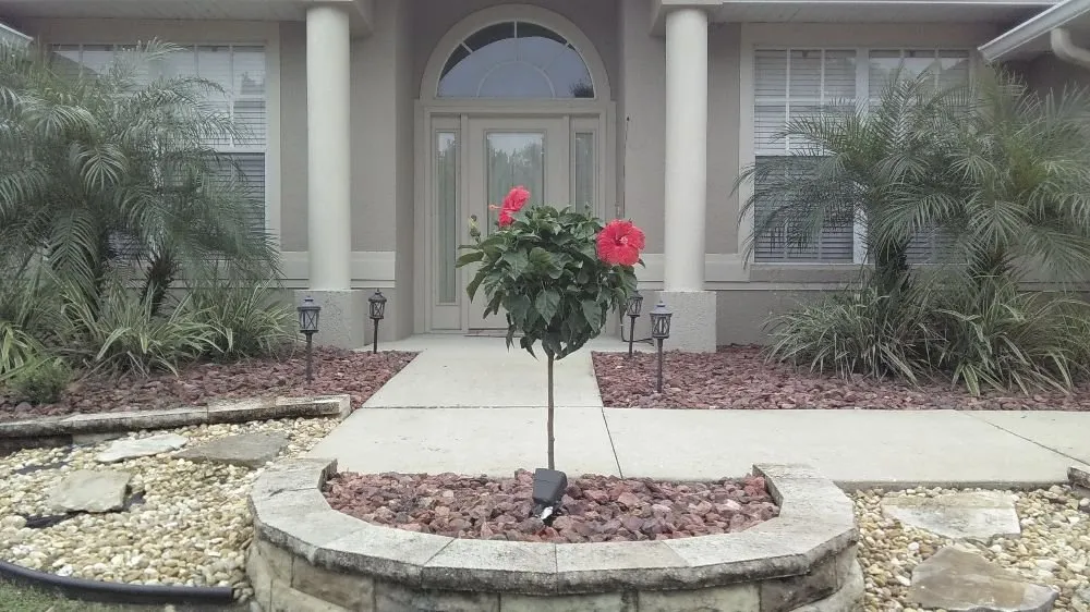 Affordable garden landscaping experts serving Howey-in-the-Hills, FL - Howey Lawn & Landscape