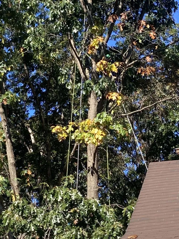 Custom landscaping services with custom design in Basye, VA by Howler Tree Care