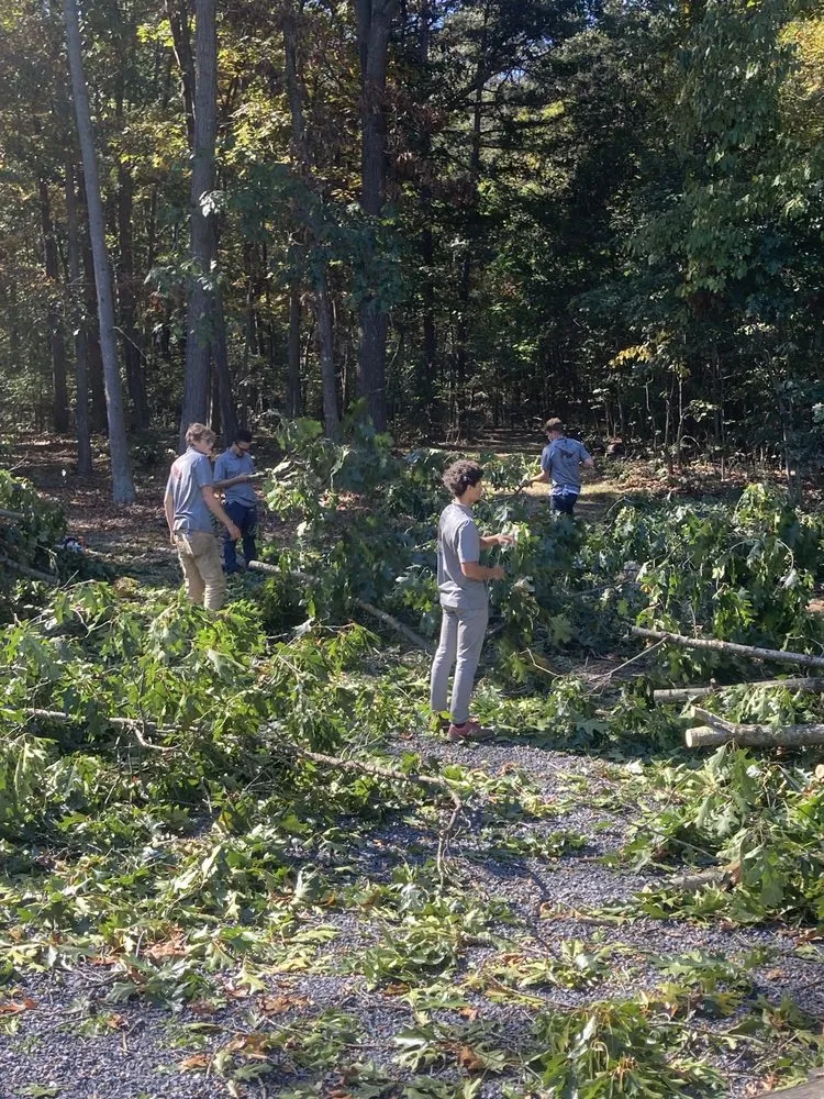 Local outdoor landscaping experts serving Basye, VA - Howler Tree Care