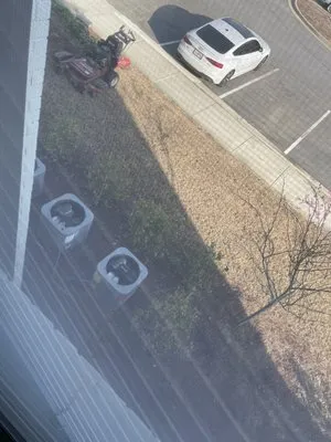 Howley Landscape Logo