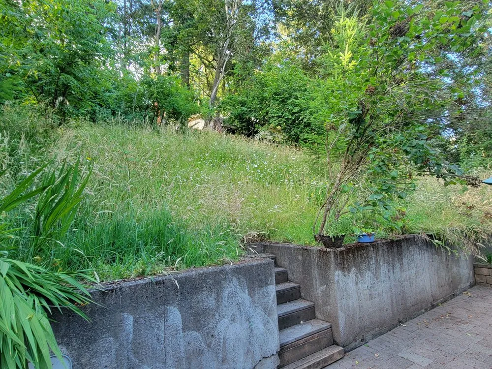 Trusted lawn mowing service experts serving Salem, OR - Howton Landscape Maintenance