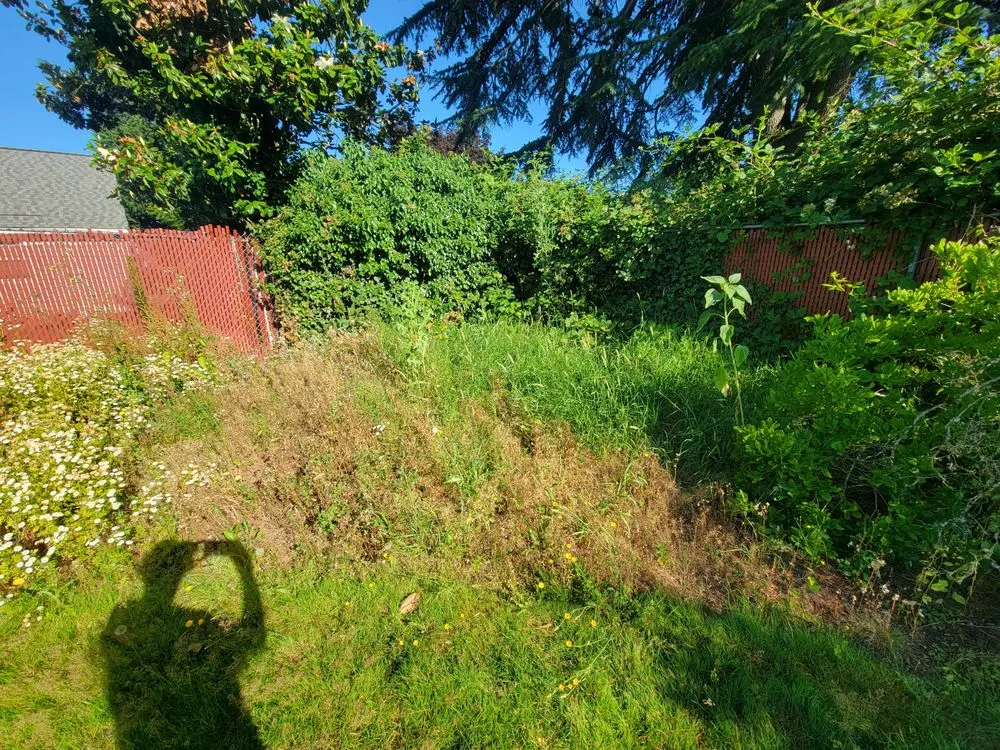 Reliable lawn mowing service experts serving Salem, OR - Howton Landscape Maintenance