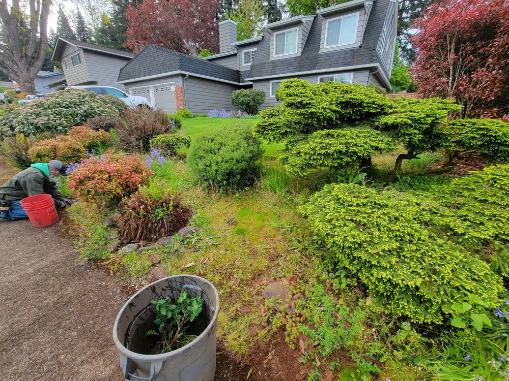 Expert yard cleanup service with custom design across Salem, OR - Howton Landscape Maintenance