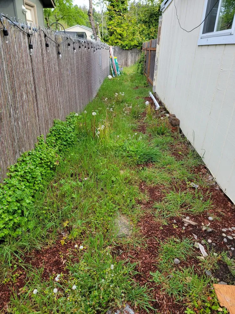 Local yard maintenance in Salem, OR by Howton Landscape Maintenance